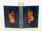 Book of Origins